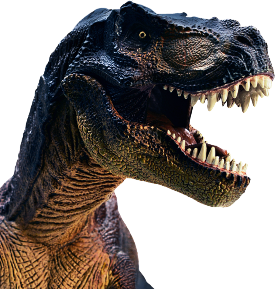 Tina The Tyrannosaurus Rex Chatbot Wants To Teach Your - T Rex Head Shot (905x949), Png Download