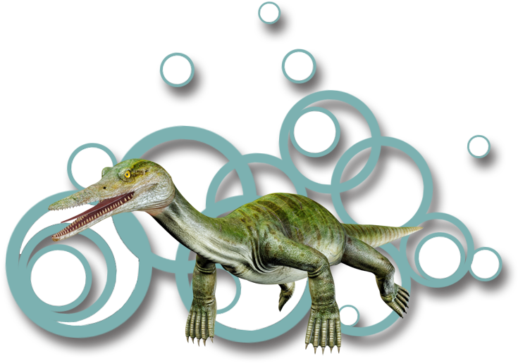 Anshunsaurus (827x827), Png Download