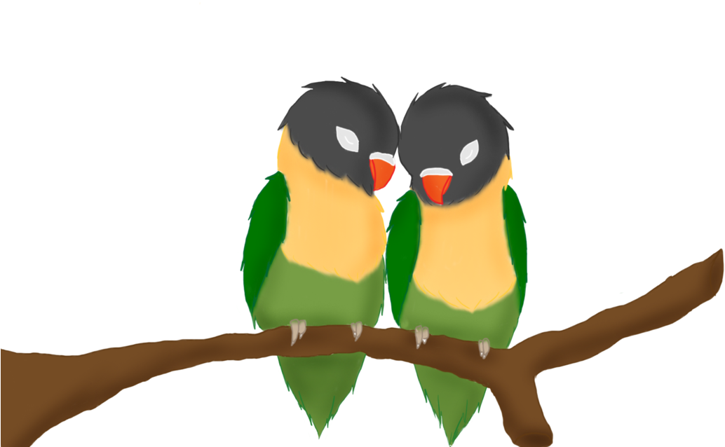 Love Birds By Anime - Love Birds Anime (1095x730), Png Download
