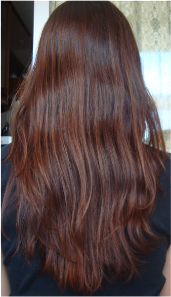 The Long Hair Community Discussion Boards - Lace Wig (800x600), Png Download