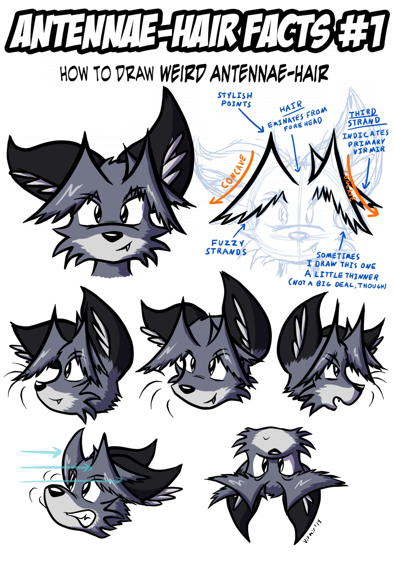 Antennae-hair Facts - Art (800x1142), Png Download