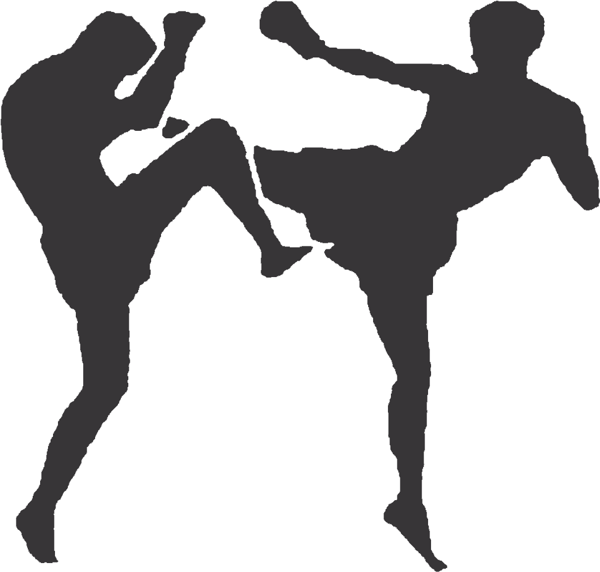 Kickboxing Png (1486x1321), Png Download