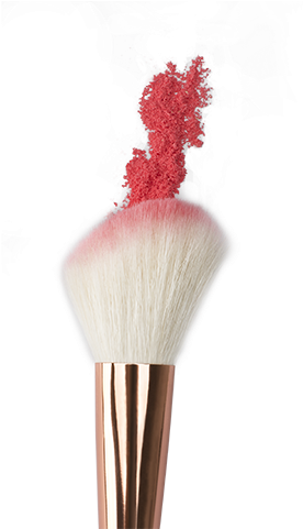 10pcs Makeup Set Brushes Powder Eyeliner Brush Lip (720x480), Png Download