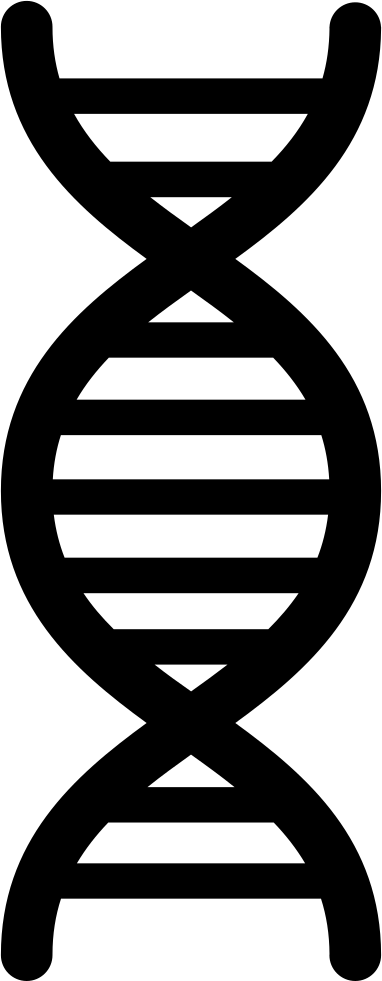 Png File Svg (382x981), Png Download