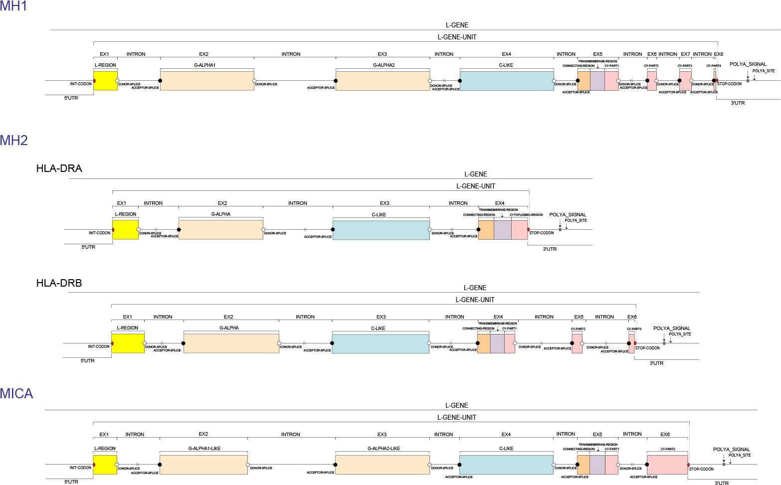 Prototypes (1727x1090), Png Download