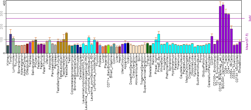 Human Fam214a Biogps Gene Expression Profile (862x380), Png Download