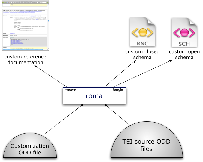 Nutshell Png (676x538), Png Download