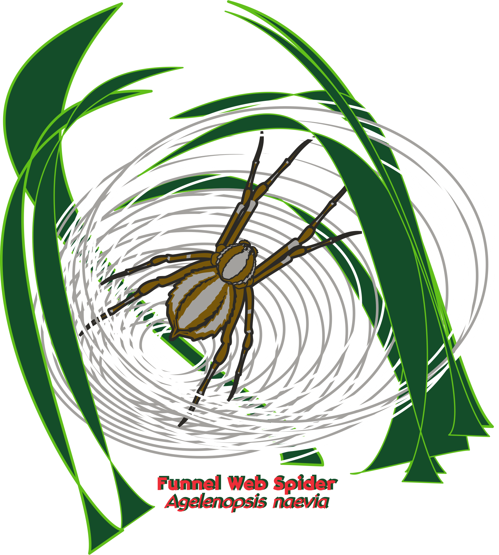 Year Of The Spider State Parks Png Spruce Fir Moss (1598x1777), Png Download