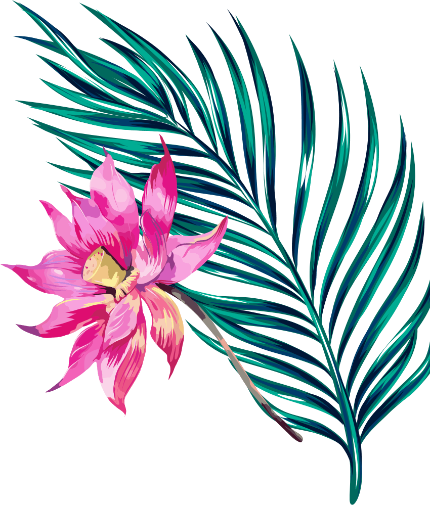7.png (850x999), Png Download