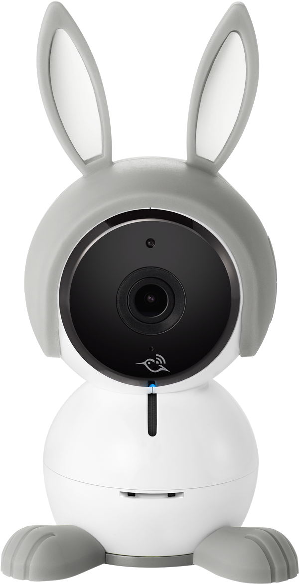 Arlo Baby (795x1188), Png Download