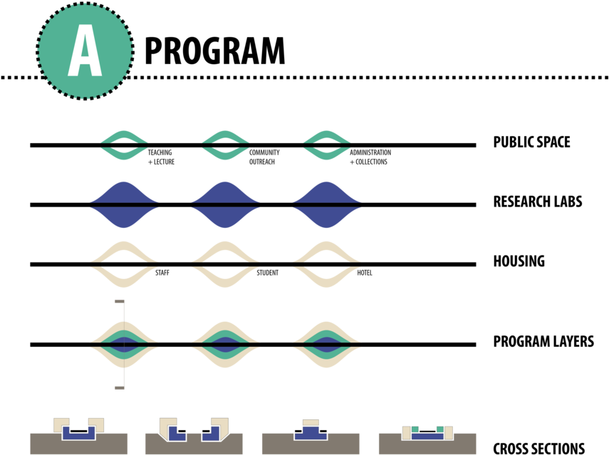 Pier Regeneration Begins With The Typology Of A Public (1000x702), Png Download