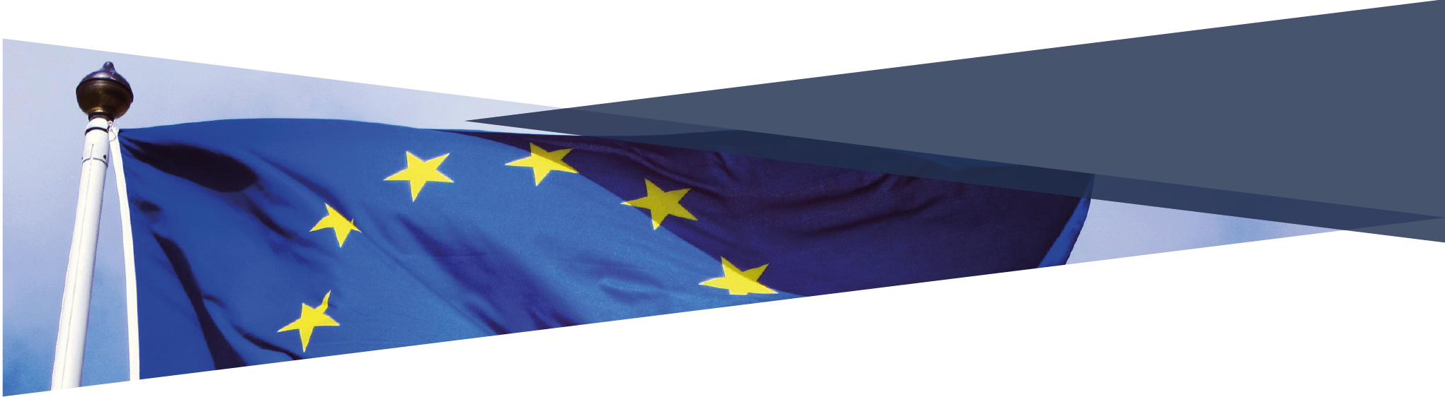 International Newsletter Of Hatvp January (2041x562), Png Download