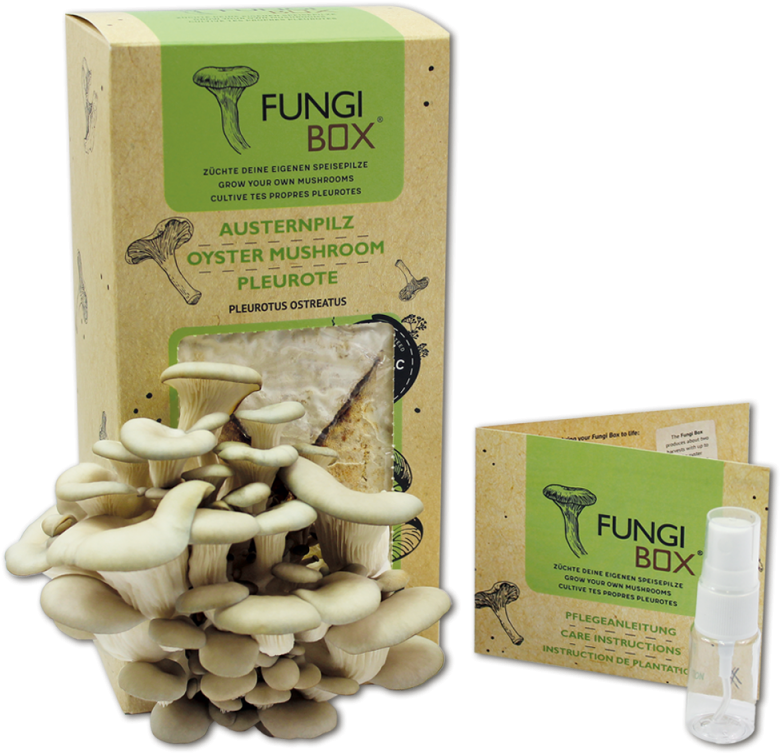 Fungus Png (800x800), Png Download