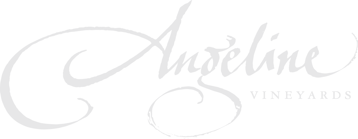 Angeline Vineyards & Winery Watermark (1252x488), Png Download