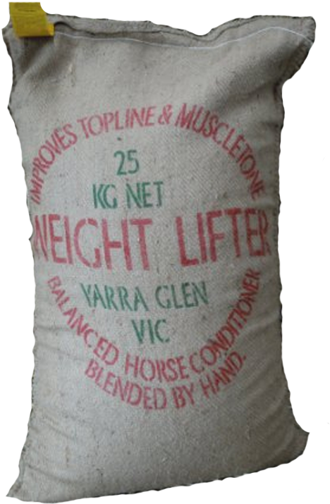 Weight Lifter 25kg (800x800), Png Download