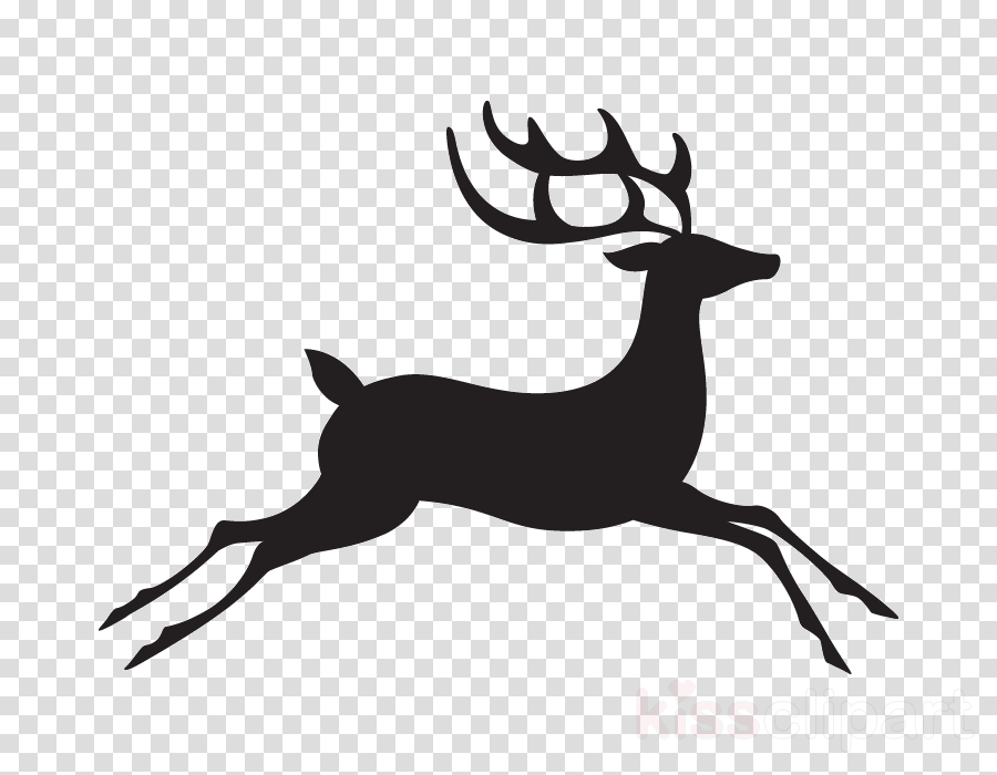 White Reindeer Png Clipart Reindeer Santa Claus Rudolph (900x700), Png Download