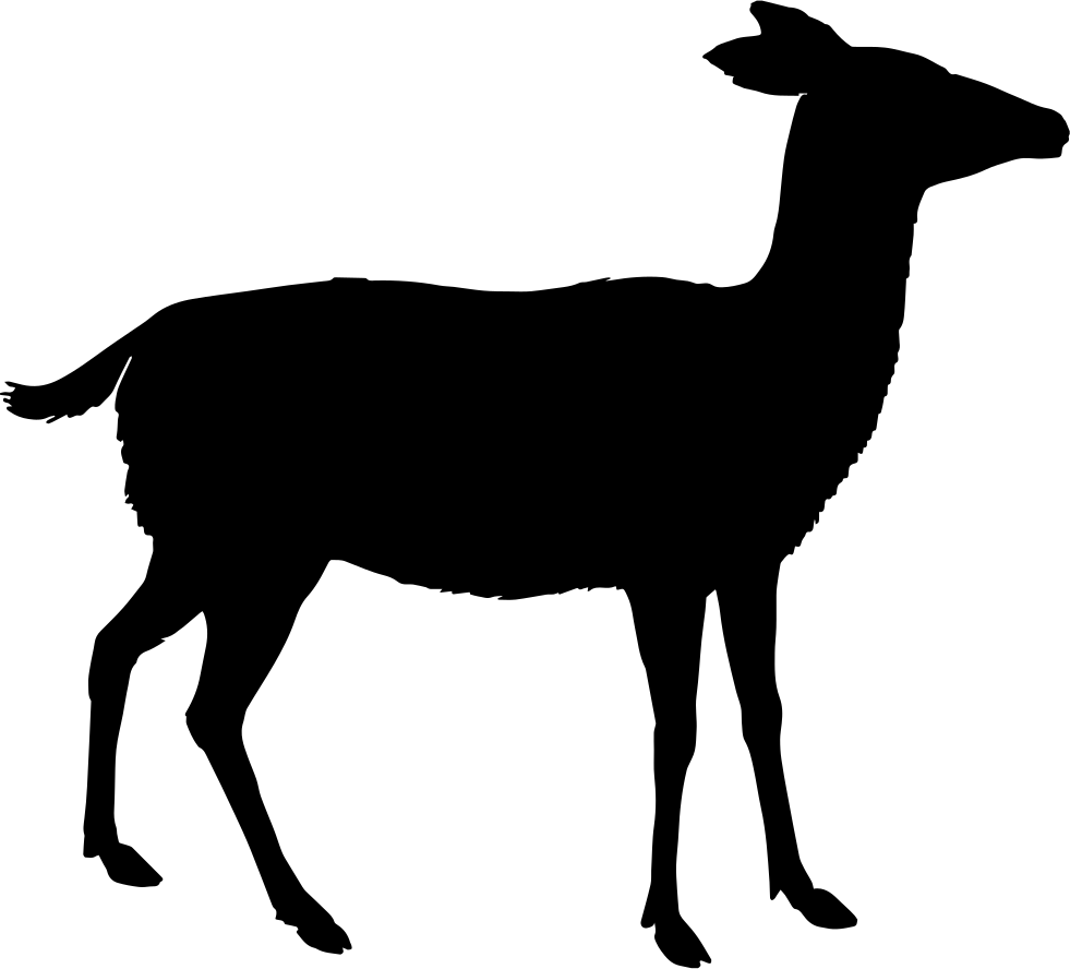 Png File Svg (981x888), Png Download
