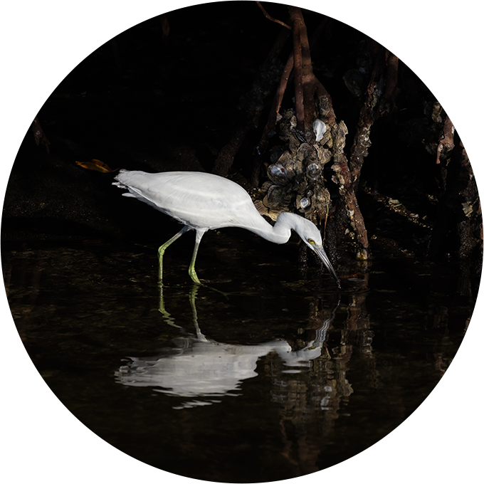 Coastal Development, Commercial Fishing And Aquaculture (680x680), Png Download