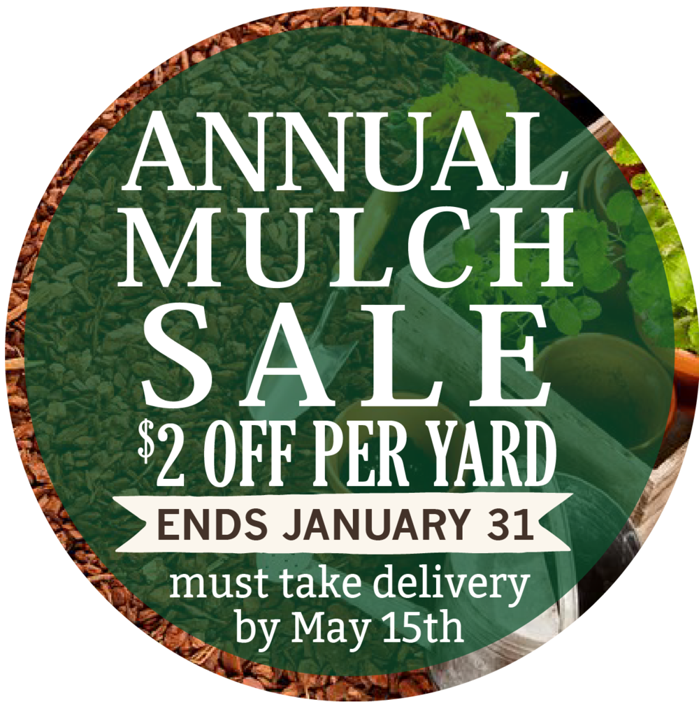 Mulch Sale Page 01 01 (1000x1004), Png Download