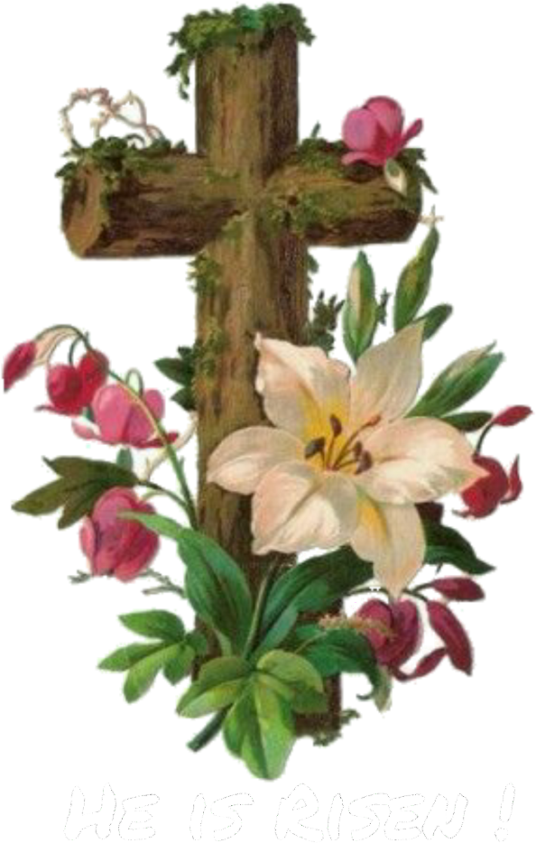 Jesus Has Risen Easter Jesus - Flowers Of Jesus Cross (1024x1024), Png Download