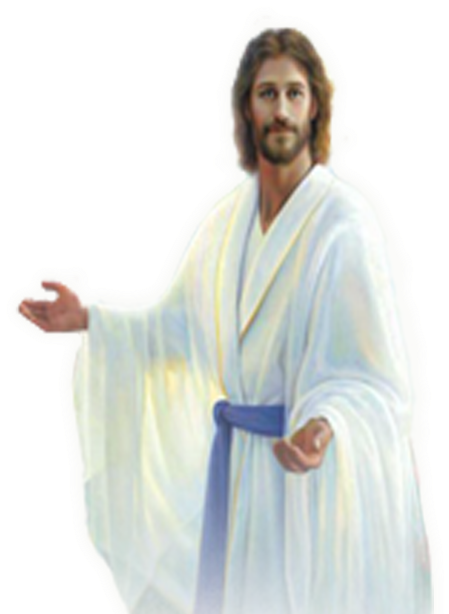 Health (500x647), Png Download