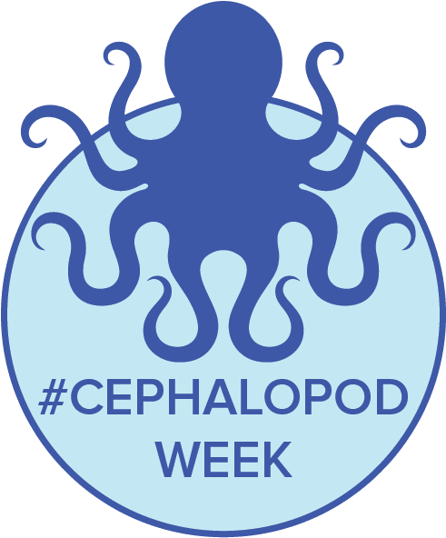 Cephalopod Movie Night- Events - Cephalopod Week (561x629), Png Download