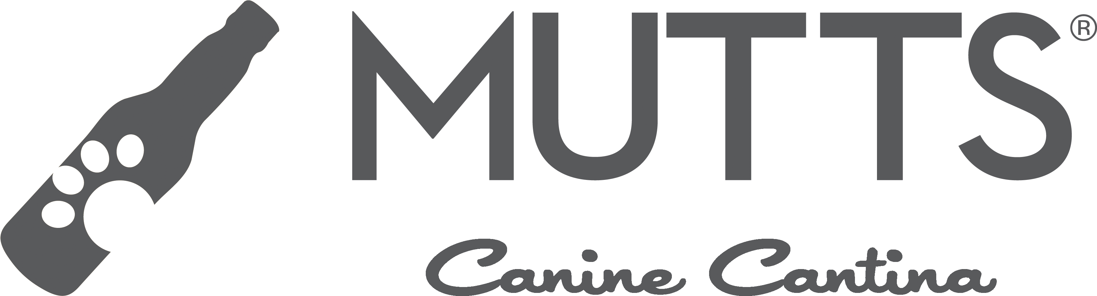 Logo - Squeaky Clean (3583x976), Png Download