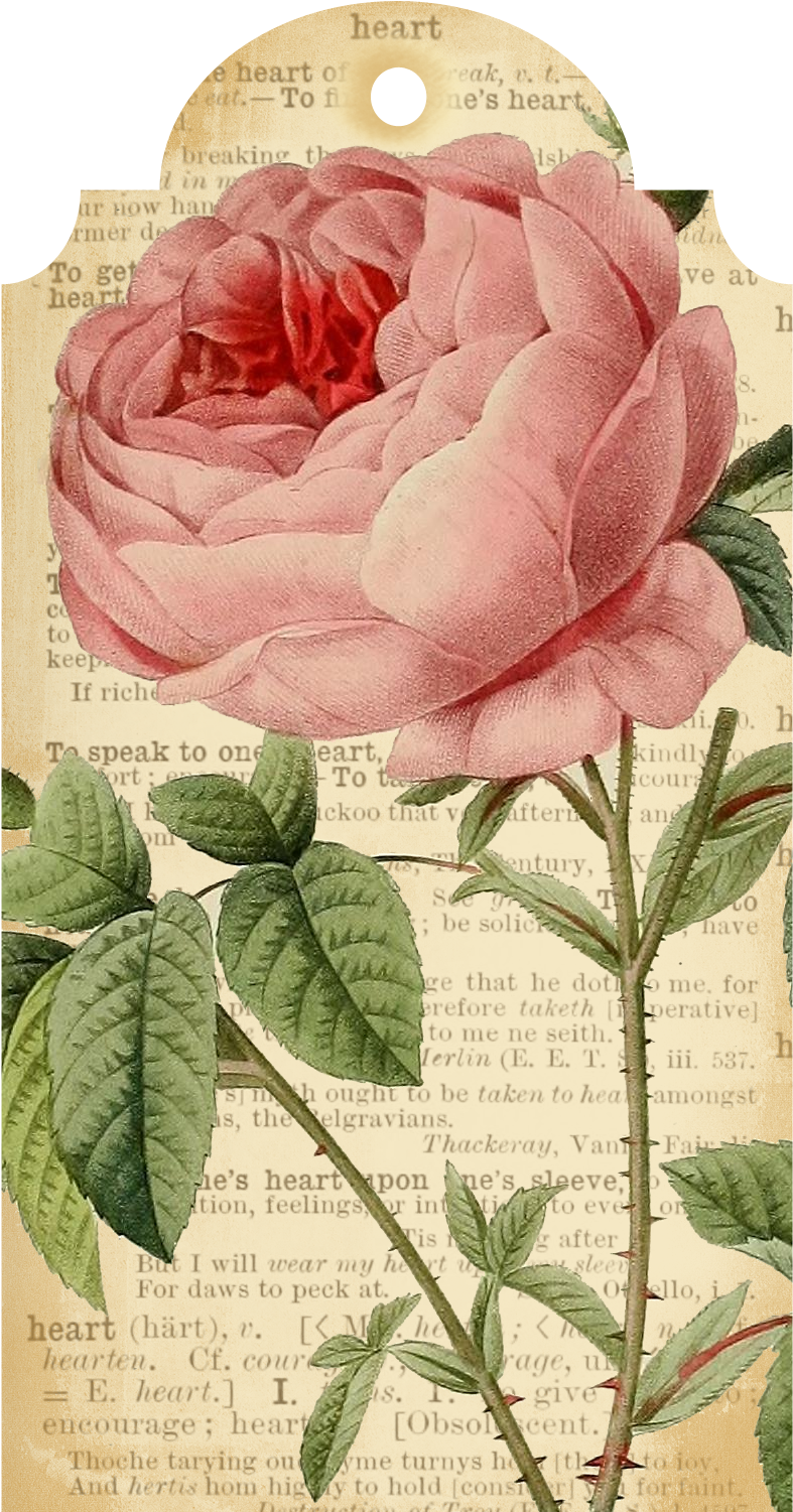 Callmevictorian Free Flower Printable Tags 4 Tags Png, - Printable Free Vintage Flower Frame Png (1100x1700), Png Download