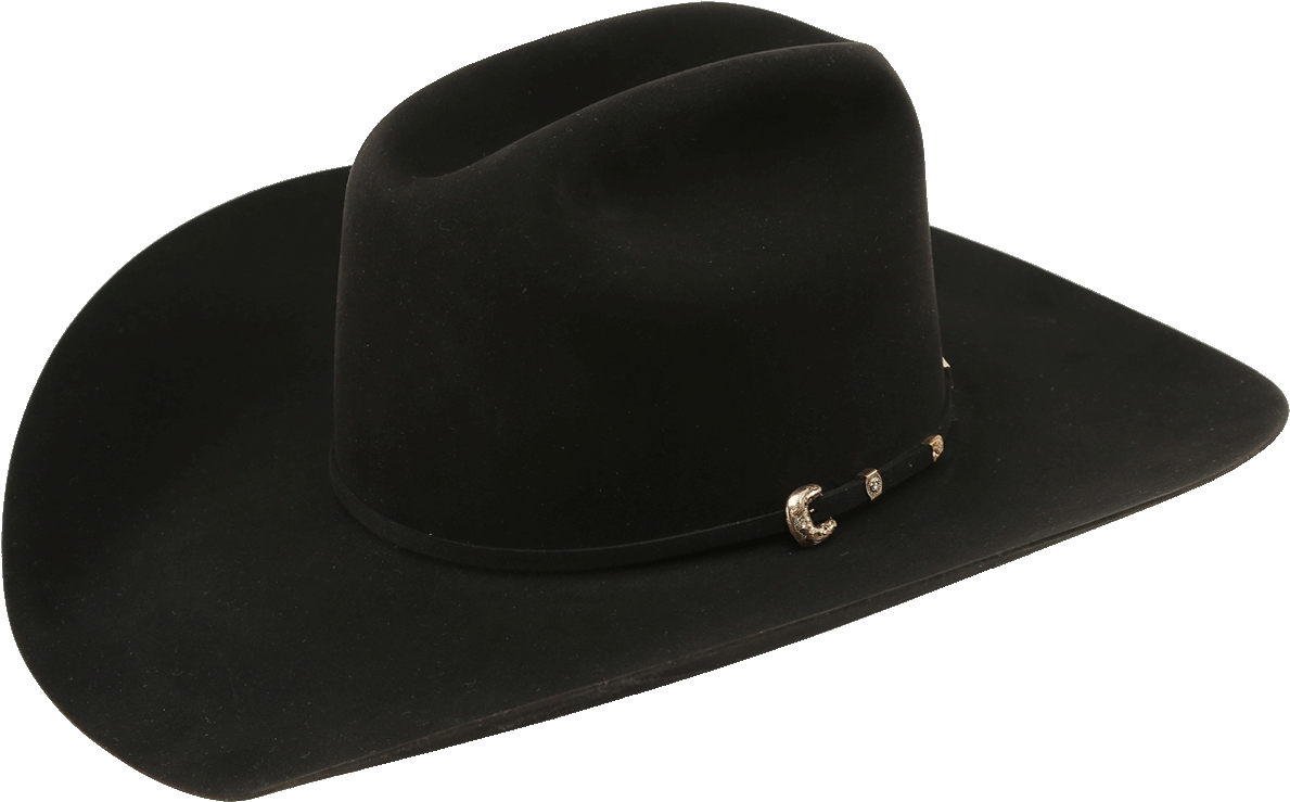 1000x20mink20black 1 - Mens Cowboy Hat Gothic (768x472), Png Download