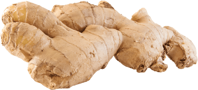 Clip Art Images - Ginger Png (850x428), Png Download