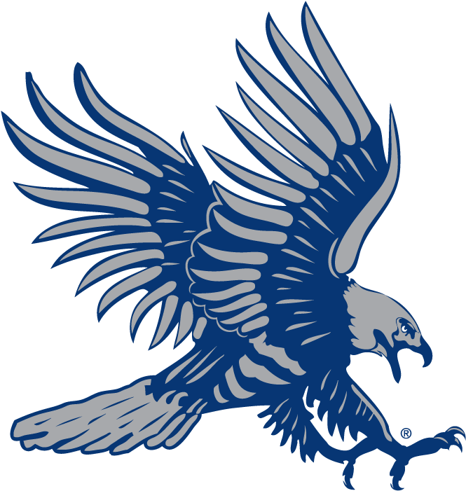 Hawk - Dickinson State University (720x720), Png Download