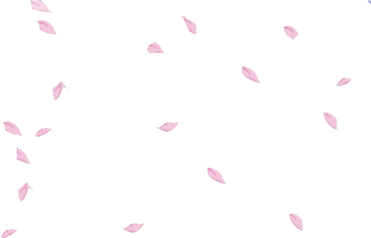 Download Hd Transparent Sakura Petals Transparent Png Pictures Transparent Tumblr Editing Png Transparent Png Image Nicepng Com