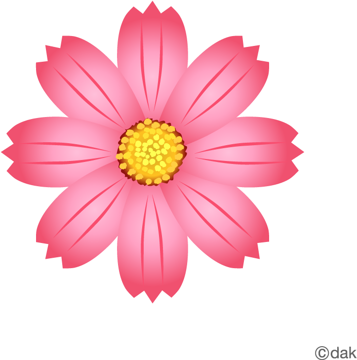 Flower Black And White Flower - Illustration (960x960), Png Download