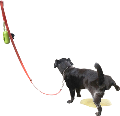 Dog Pee Dogpee Dogs Pet Animal Funny Funnydog Dogsofpic - Dog Png For Picsart (397x384), Png Download