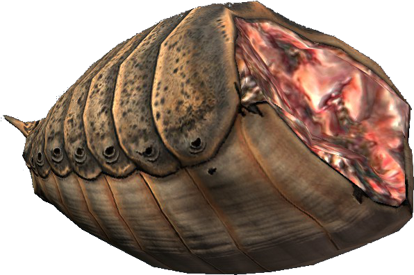 Ash Hopper Meat - Wiki (641x438), Png Download