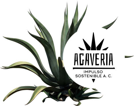 Nos Interesa El Desarrollo De La Cultura Del Agave, - Logo Impulso Agaveria (490x382), Png Download