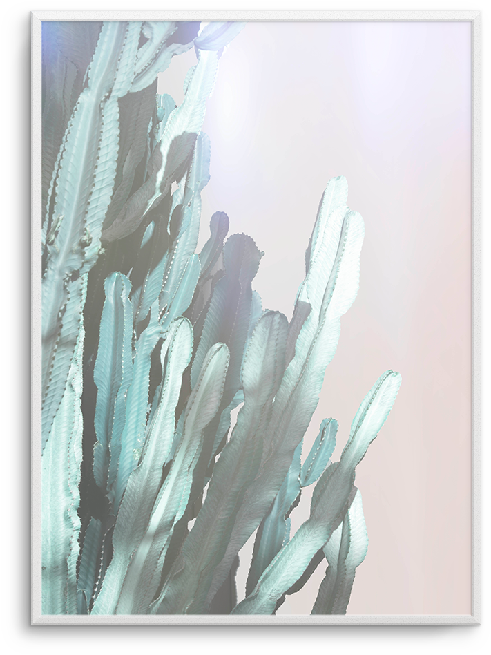 Dreamy Cactus No 1 (937x1181), Png Download