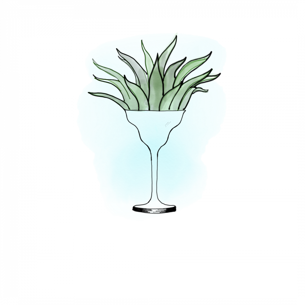 Champagne Stemware (1000x1000), Png Download