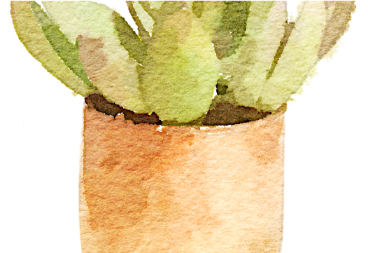 Hghghg-600x360 - You Are Succulent (600x360), Png Download