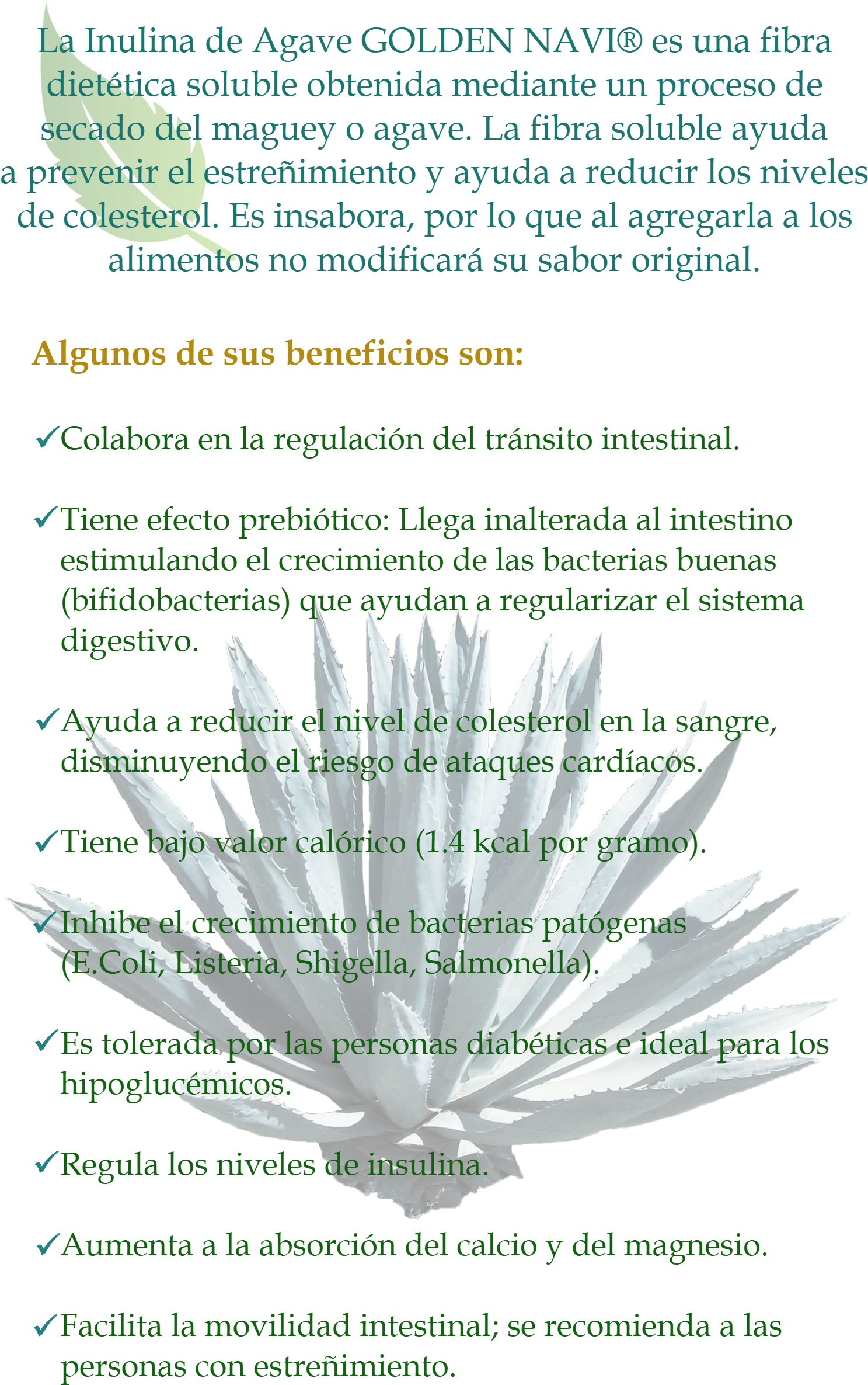 Inulina De Agave - Document (1500x2500), Png Download