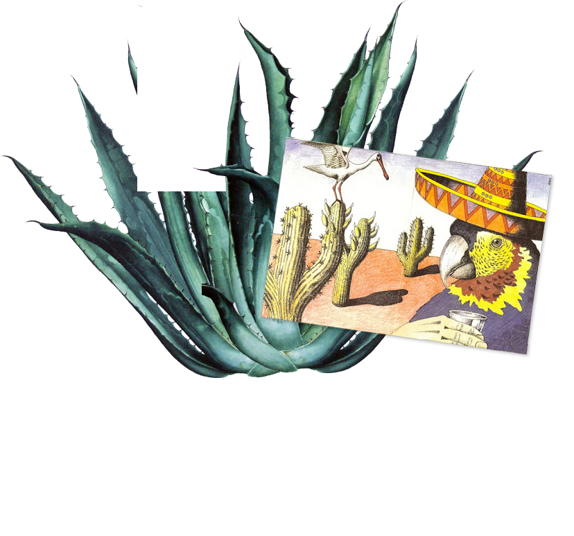 Tequila Shots Wrestler Basil Stain Agave - Framed Canvas Art - Agave Pattern By 83 Oranges (828x773), Png Download