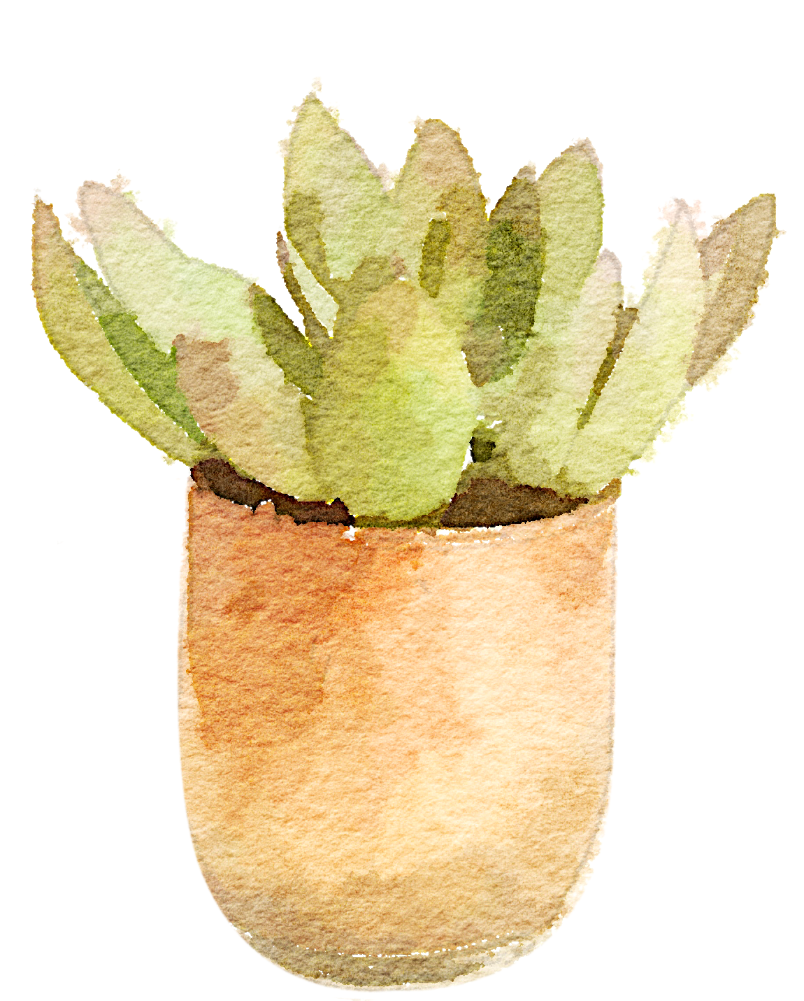 21 - You Are Succulent (1536x2048), Png Download