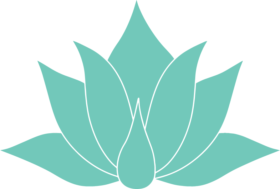 Agave-med - Facebook (990x990), Png Download