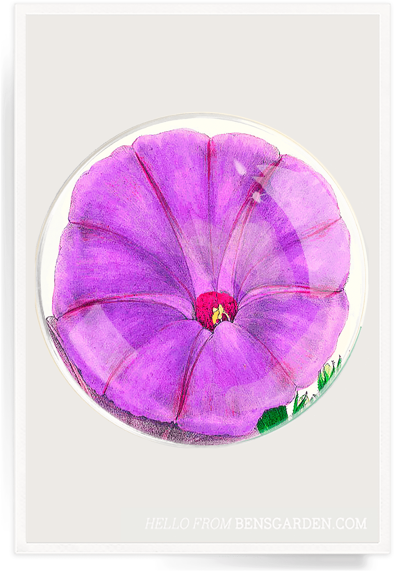 Ben's Garden (1348x1920), Png Download