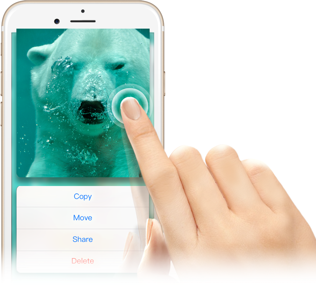 Product Image (1200x1116), Png Download