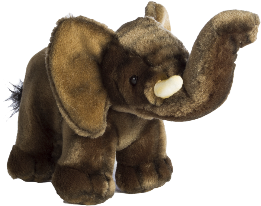 Baby Elephant (900x900), Png Download