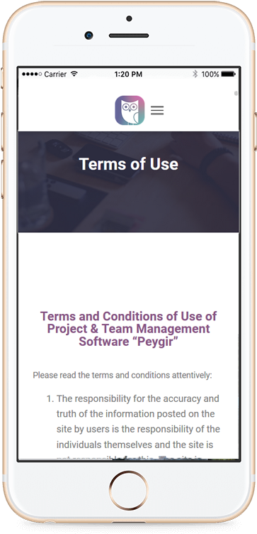 Iphone6 (410x800), Png Download