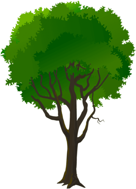Free Png Download Tree Decorative Transparent Png Images (480x669), Png Download