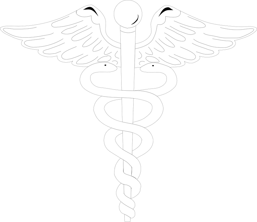 Caduceus Png Transparent Background (835x720), Png Download