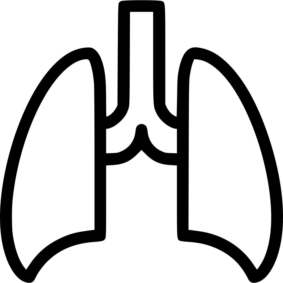 Png File Svg (980x982), Png Download